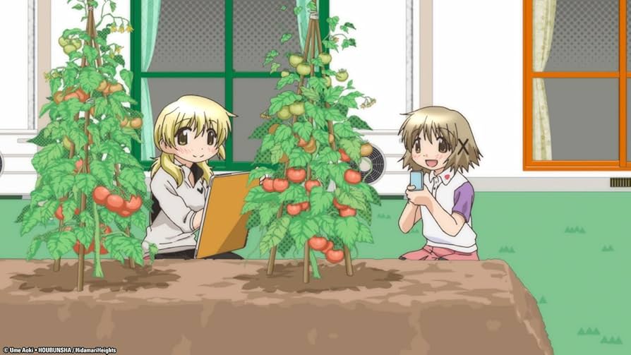 その他 Hidamari Sketch: Hoshimittsu 3 Complete Collection [Blu-ray] d2ldlup Hidamari Sketch: Hoshimittsu 3 Complete Collection [Blu-ray